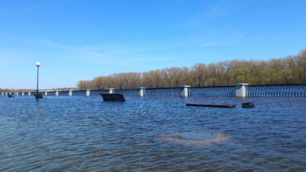 Уровень гомель. Разлив реки СОЖ. Гомель разлив СОЖ. Уровень воды в реке СОЖ В Гомеле. Гомель половодье.